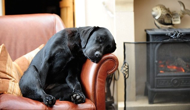 imageedit_11_6572957664