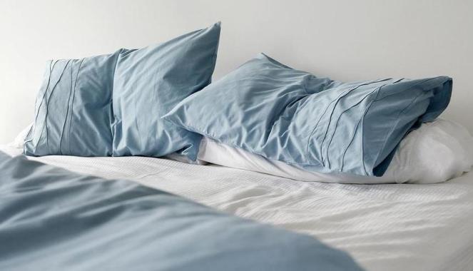 imageedit_4_2772766254