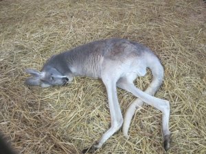 181526_10150096869718751_658982_n