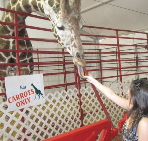 imageedit_2_6047920174