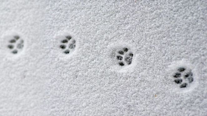 imageedit_15_4218740578