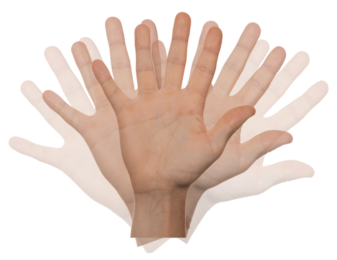 hand-2415036_1920.png