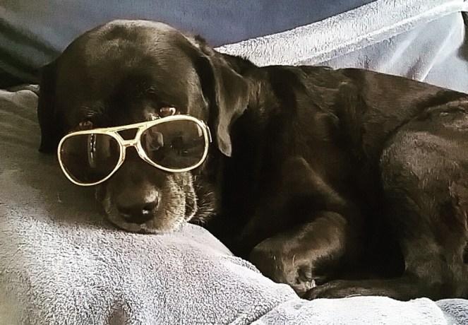 imageedit_29_4447136525